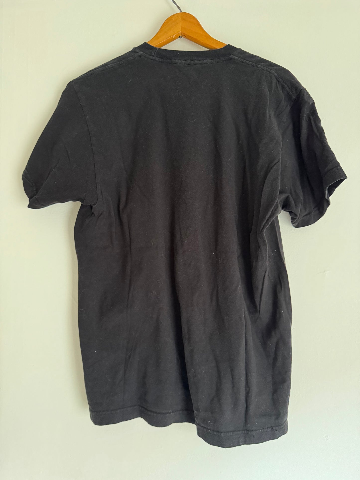 Vintage Danger Noodle Tee in Black