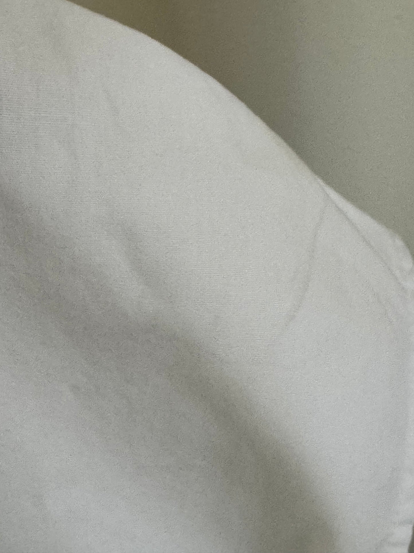 Reclaimed Virginia Johnson Cotton Smock Top in White