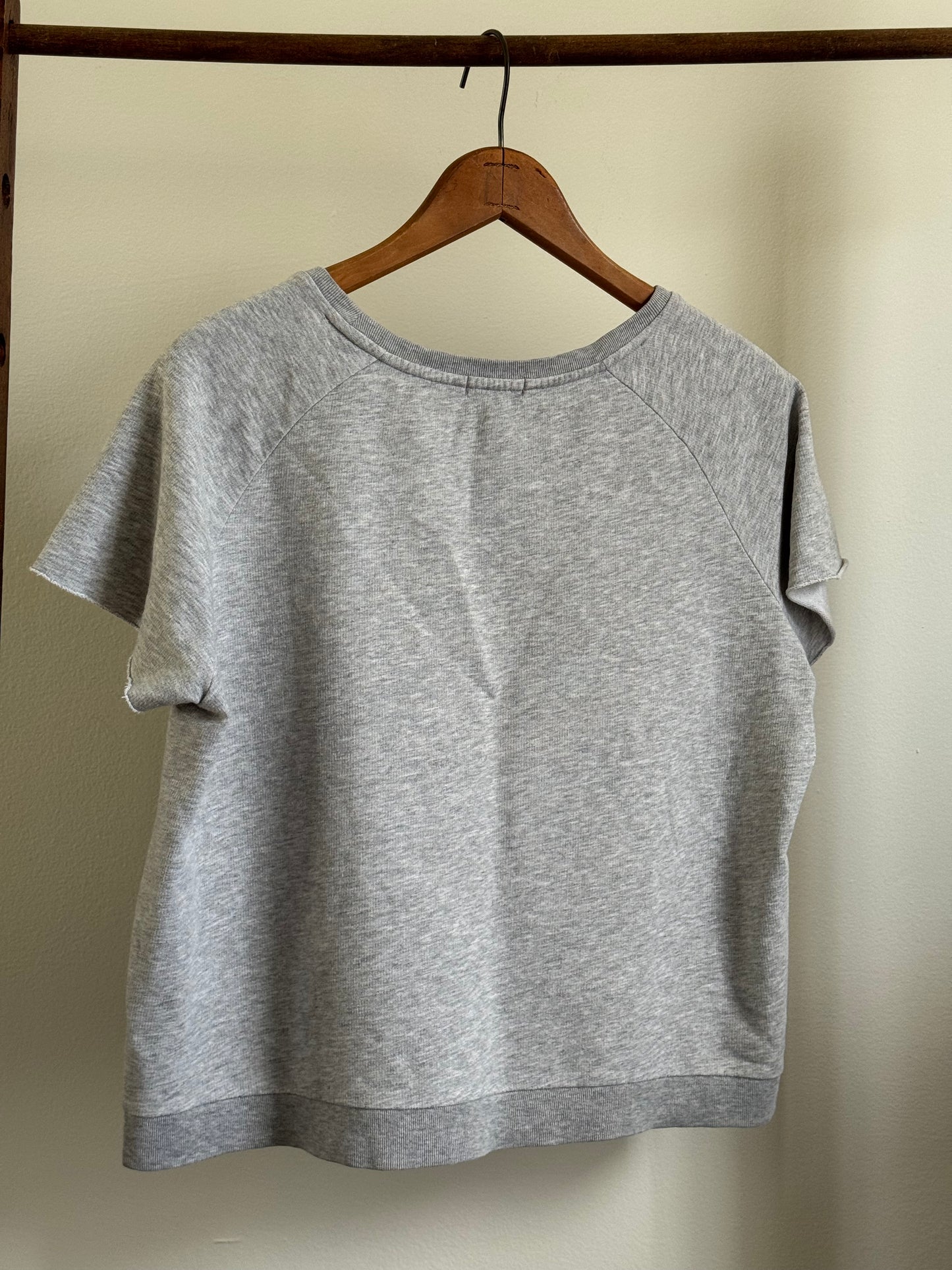Reclaimed DemyLee Short Sleeve Cropped Sweatshirt in Grey