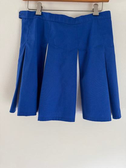Vintage Cheer Skirt in White & Blue